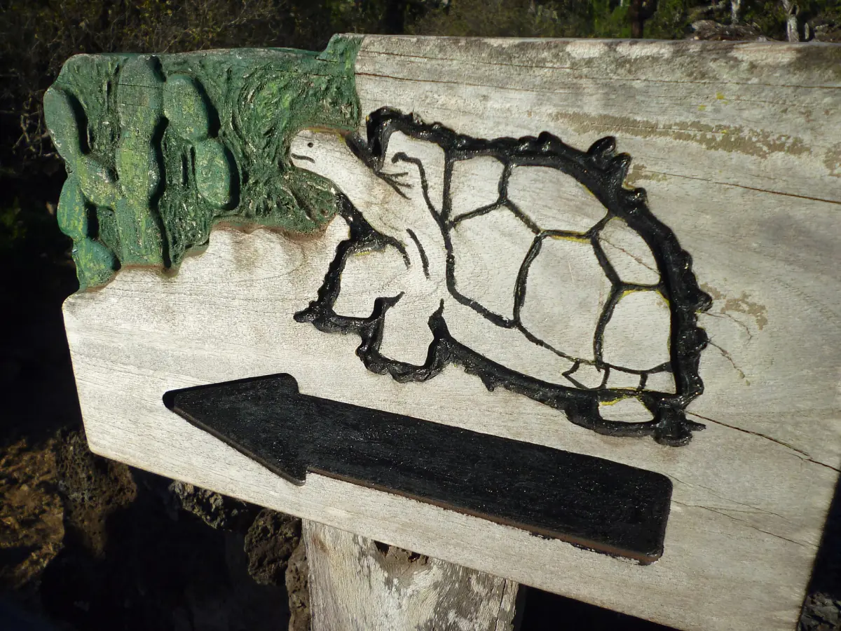 Carved tortoise sign at the Charles Darwin Research Station