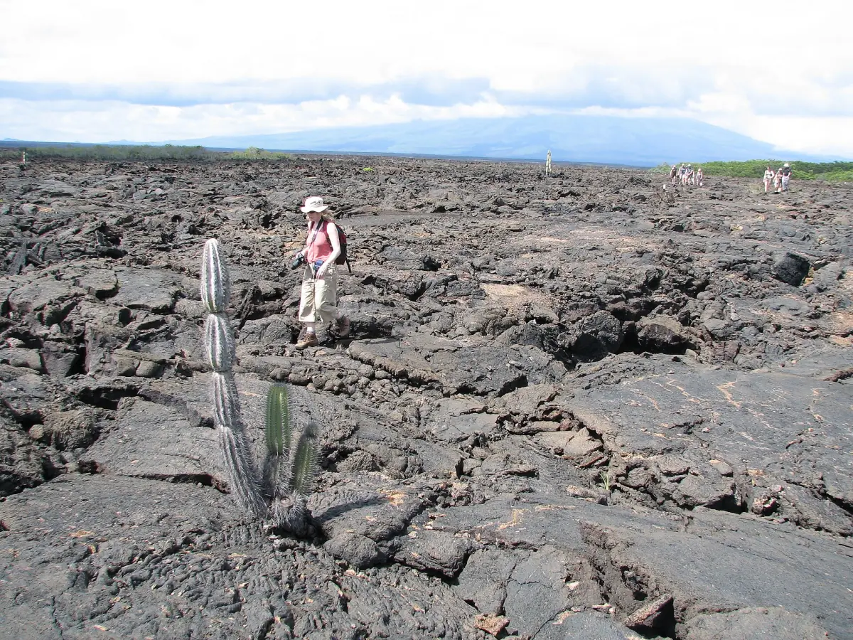 Lava fields on Isabela