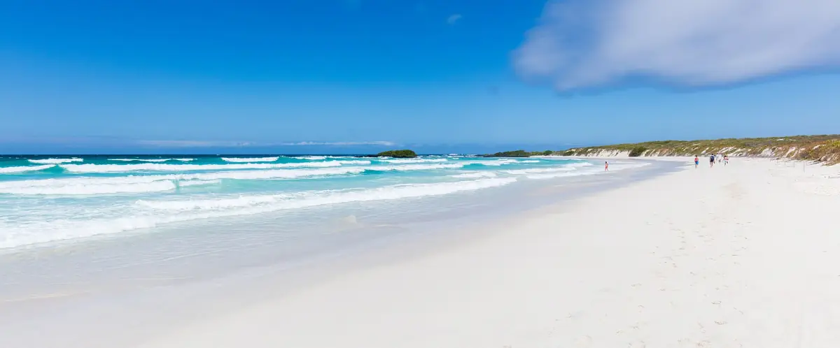 The wide white beach of Tortuga Bay