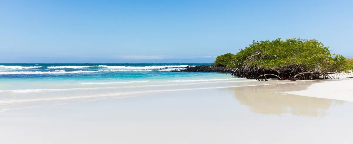 Turquoise water at Tortuga Bay